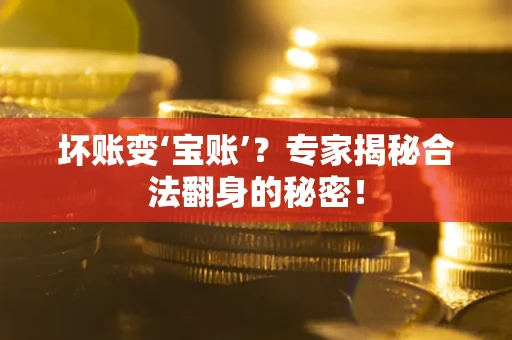 北京坏账变‘宝账’？专家揭秘合法翻身的秘密！