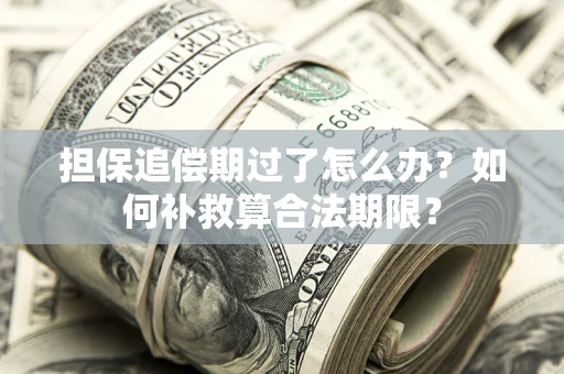 北京担保追偿期过了怎么办？如何补救算合法期限？