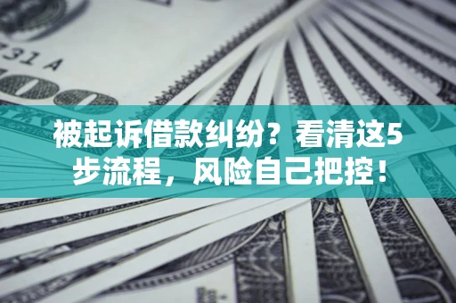 北京被起诉借款纠纷？看清这5步流程，风险自己把控！